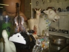 mid-cities-redo-ton-of-more-50off-junk-unload-tues-afternnoon-012