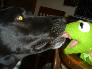 Kitty & Kemit French KISS! This love was destiny!